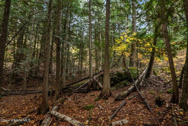 NNA Rogers Rd, Sandpoint, ID 83864