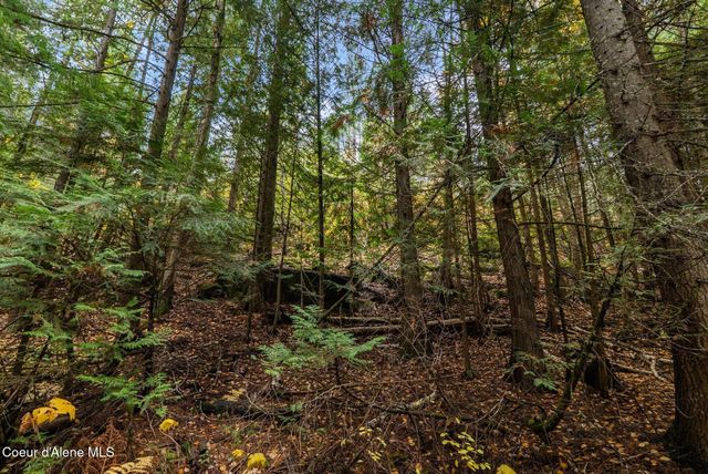 NNA Rogers Rd, Sandpoint, ID 83864