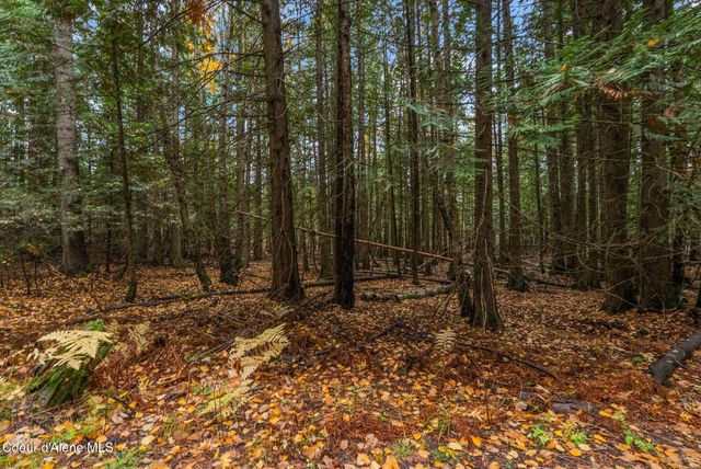 NNA Rogers Rd, Sandpoint, ID 83864