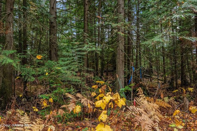 NNA Rogers Rd, Sandpoint, ID 83864