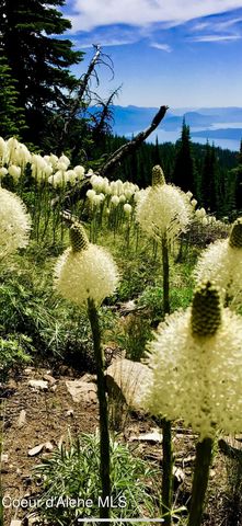 NNA Rogers Rd, Sandpoint, ID 83864