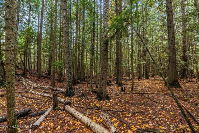 NNA Rogers Rd, Sandpoint, ID 83864