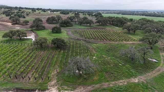 576 Young Ranch RD 8, Johnson City, TX 78636