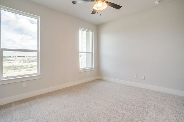 1011 Bartlett Peak Drive, Waxahachie, TX 75167