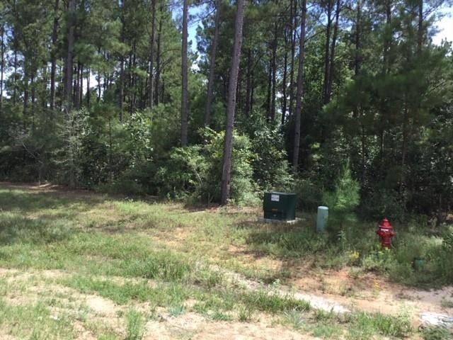 10825 Zulu Court, Willis, TX 77378