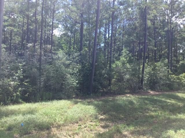10825 Zulu Court, Willis, TX 77378