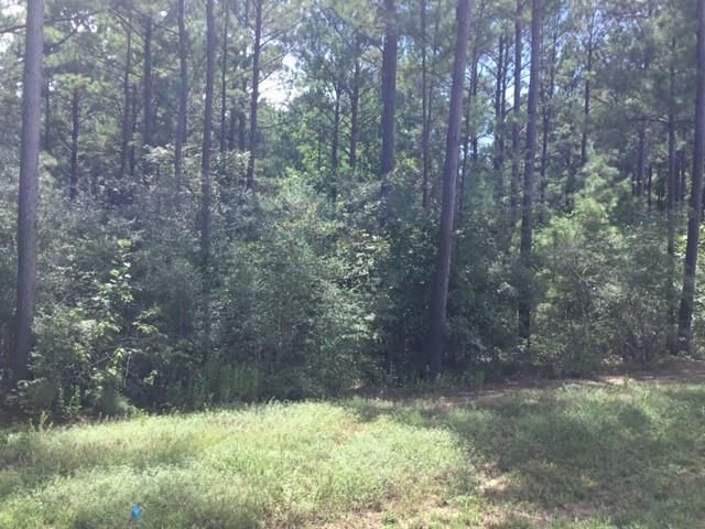 10825 Zulu Court, Willis, TX 77378