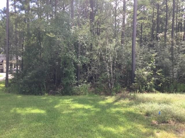 10825 Zulu Court, Willis, TX 77378
