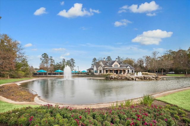 31417 Longwood Park Lane, Spring, TX 77386