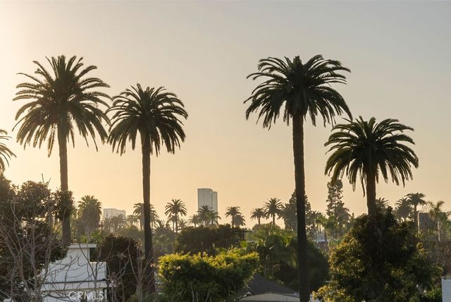 2619 S Rimpau Blvd, Los Angeles, CA 90016