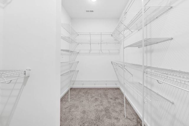 1165 Mourning Cloak Dr, Clarksville, TN 37043