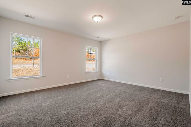 430 Viceroy Path, Gilbert, SC 29054