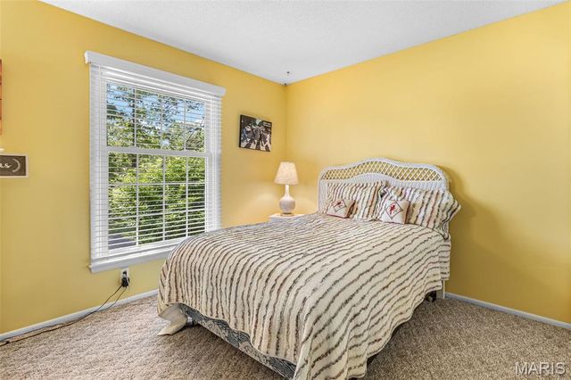 842 Ridgeview Drive, Bonne Terre, MO 63628