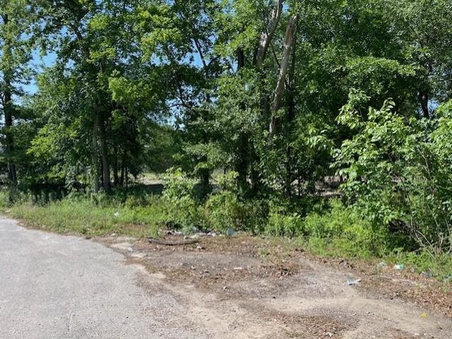 RES 11 Shotwell Street, Houston, TX 77016