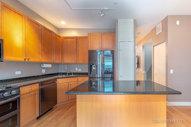 1117 W Monroe Street 15, Chicago, IL 60607