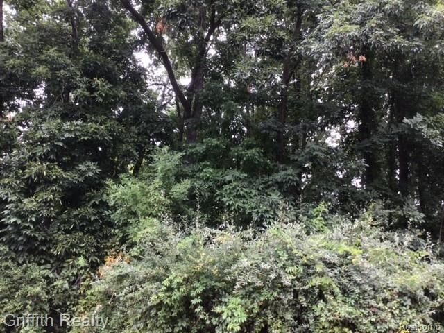 4473 Oak Pointe Drive, Genoa Township, MI 48116
