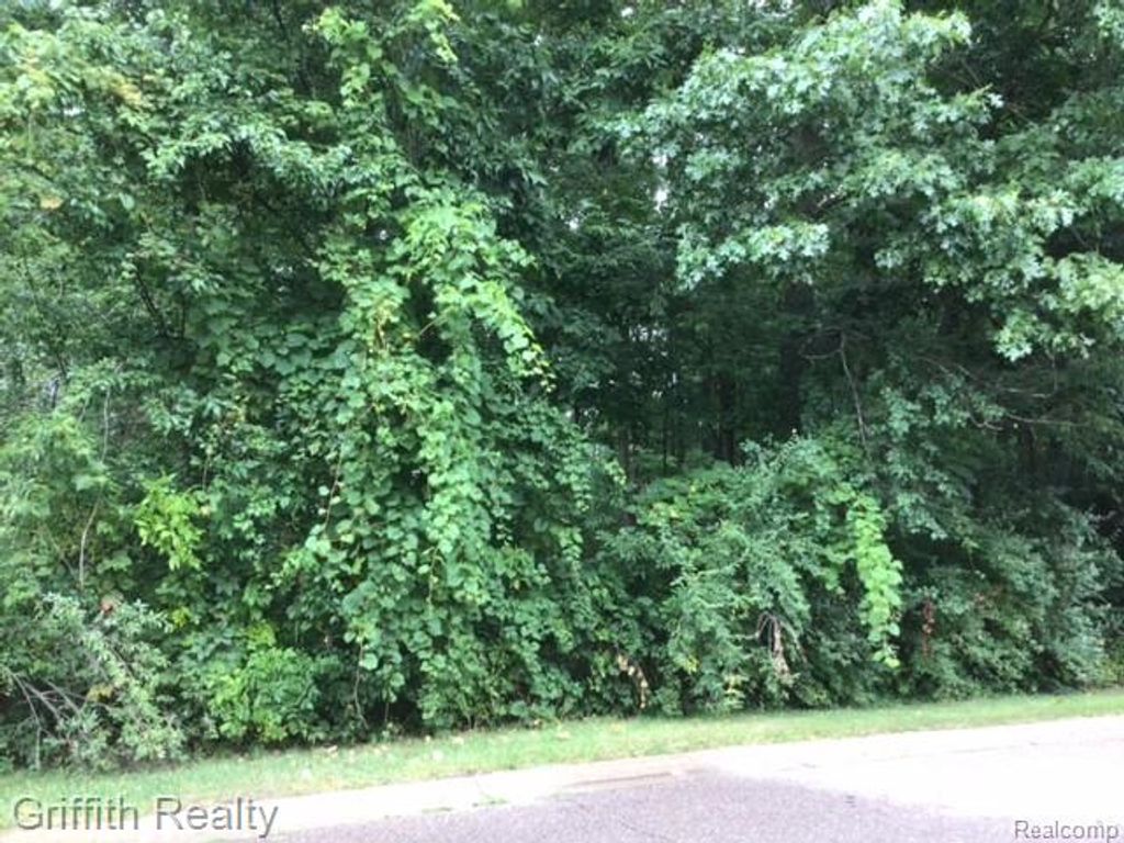4473 Oak Pointe Drive, Genoa Township, MI 48116