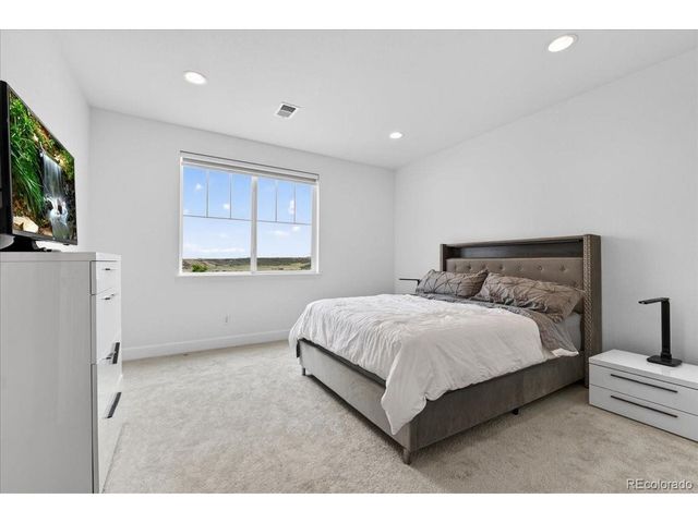 4284 Hickory Oaks St, Castle Rock, CO 80104