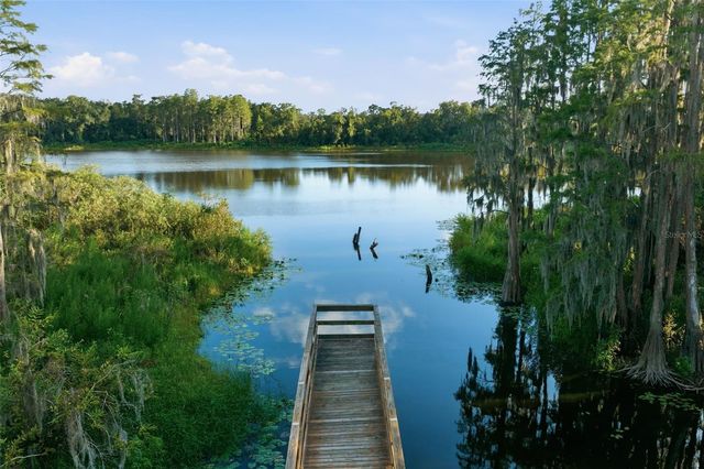 14215 PONDHAWK LANE, Tampa, FL 33625