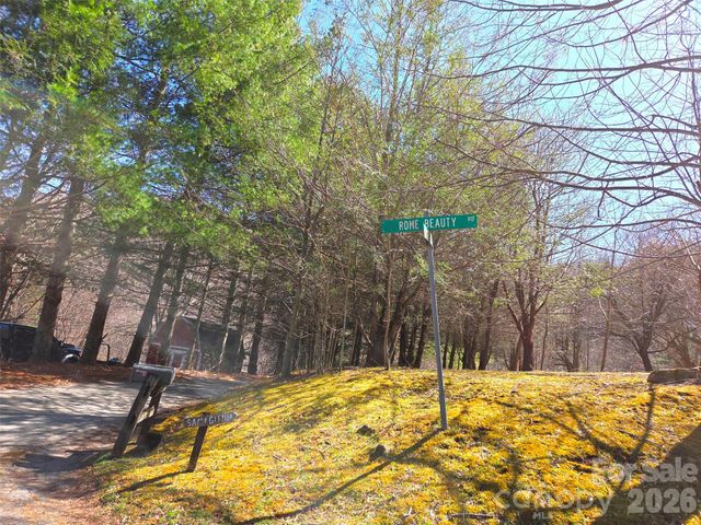 250 Rome Beauty Road TR5, Waynesville, NC 28785