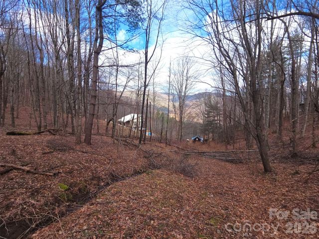 250 Rome Beauty Road TR5, Waynesville, NC 28785