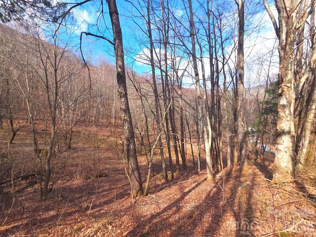 250 Rome Beauty Road TR5, Waynesville, NC 28785