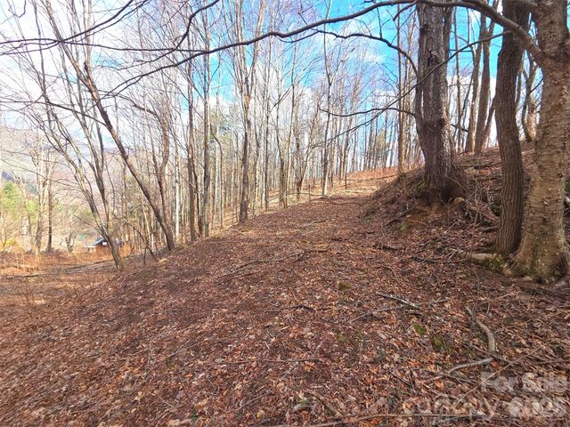 250 Rome Beauty Road TR5, Waynesville, NC 28785