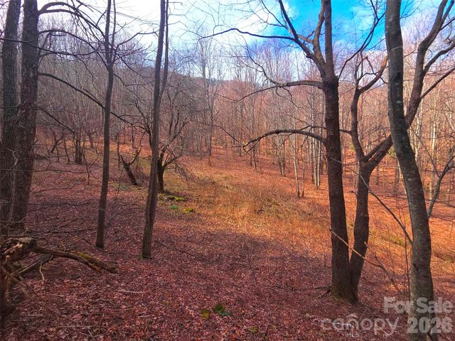 250 Rome Beauty Road TR5, Waynesville, NC 28785