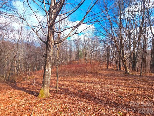 250 Rome Beauty Road TR5, Waynesville, NC 28785