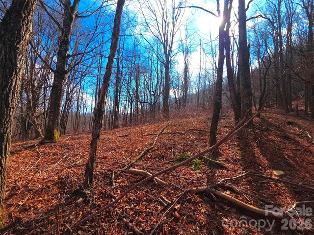 250 Rome Beauty Road TR5, Waynesville, NC 28785