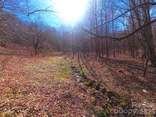 250 Rome Beauty Road TR5, Waynesville, NC 28785