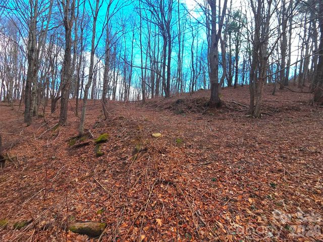 250 Rome Beauty Road TR5, Waynesville, NC 28785