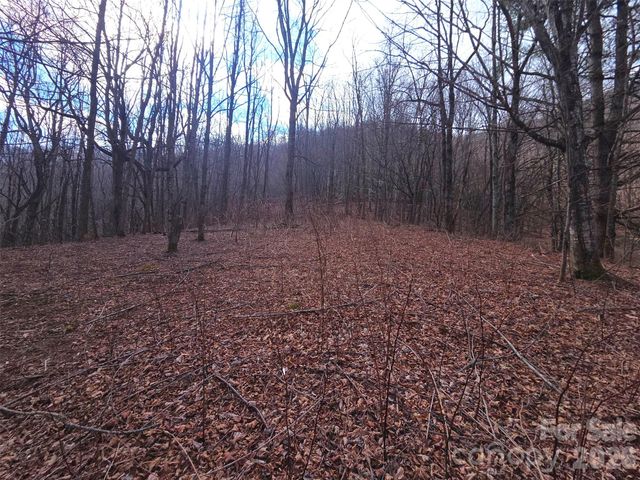 250 Rome Beauty Road TR5, Waynesville, NC 28785