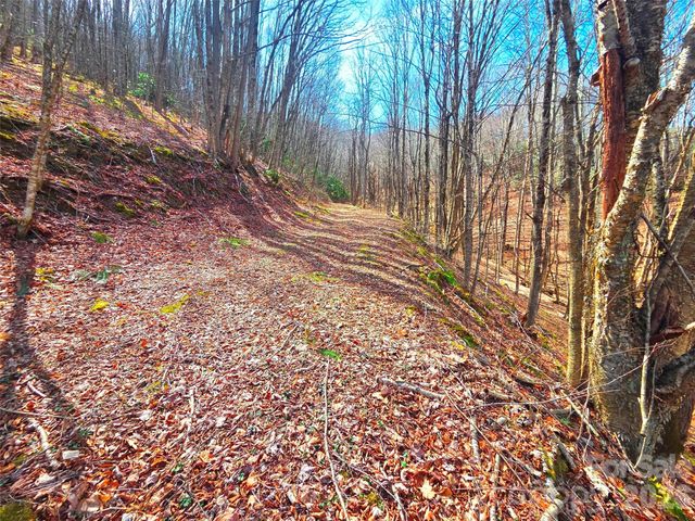 250 Rome Beauty Road TR5, Waynesville, NC 28785