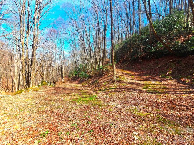 250 Rome Beauty Road TR5, Waynesville, NC 28785