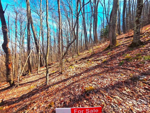 250 Rome Beauty Road TR5, Waynesville, NC 28785