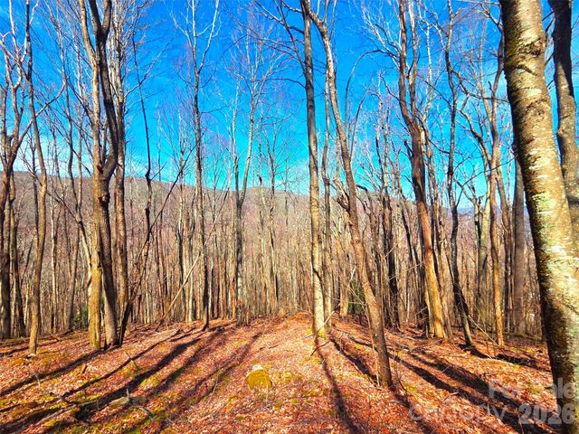 250 Rome Beauty Road TR5, Waynesville, NC 28785