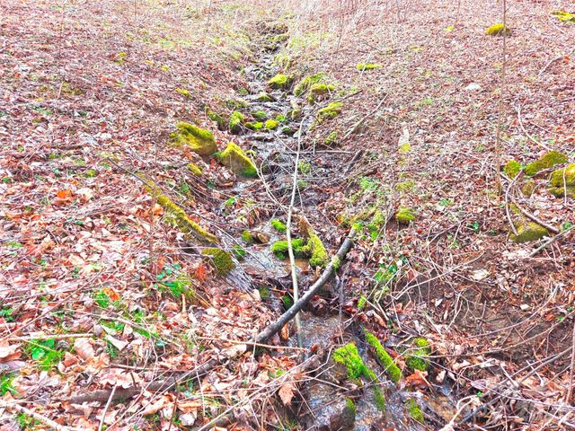 250 Rome Beauty Road TR5, Waynesville, NC 28785