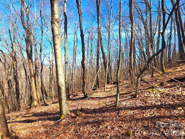 250 Rome Beauty Road TR5, Waynesville, NC 28785