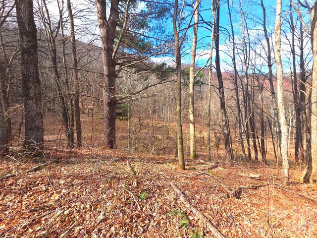 250 Rome Beauty Road TR5, Waynesville, NC 28785