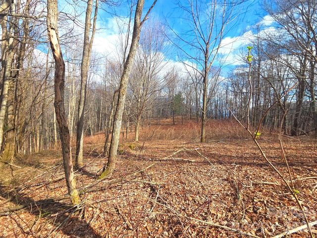 250 Rome Beauty Road TR5, Waynesville, NC 28785