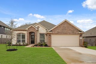 207 Little Dog Drive, Montgomery, TX 77356