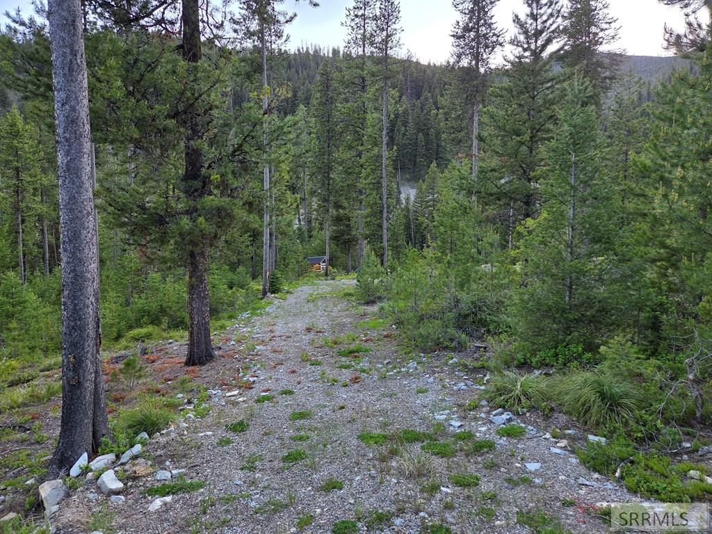 Image 2 of property listing at Lot 13 Kokopelli Drive, Gibbonsville, ID 83463