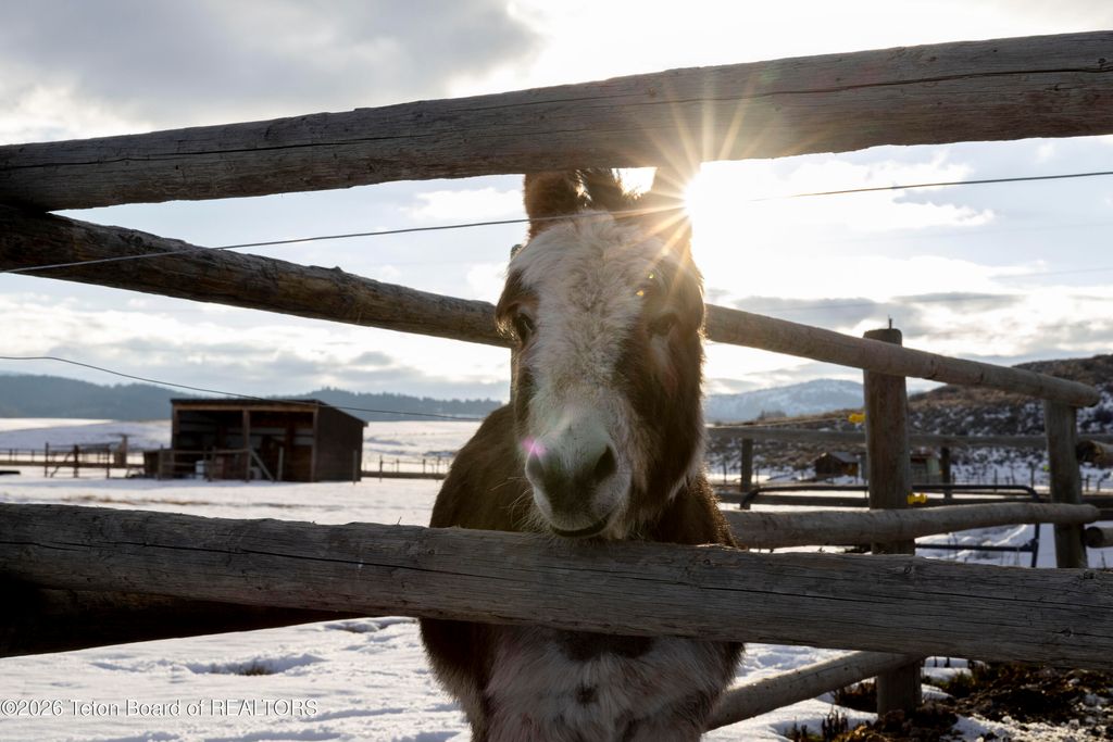 5352 COUNTY ROAD 114, Etna, WY 83118 photo 23