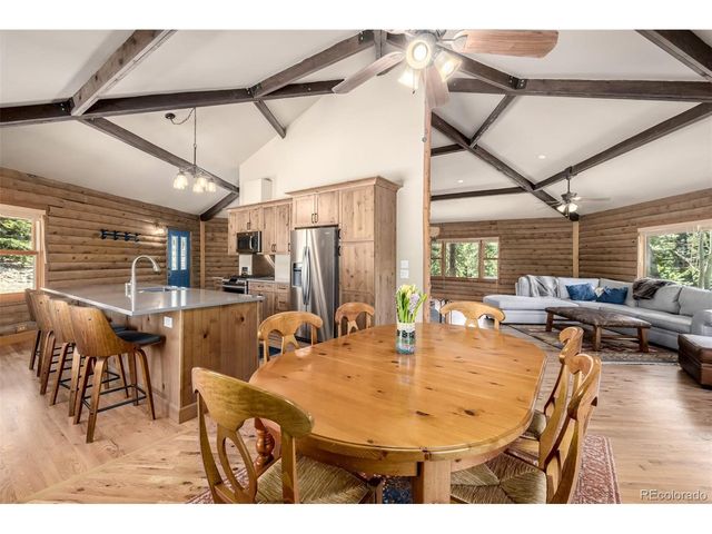 260 Pine Dr, Idaho Springs, CO 80452