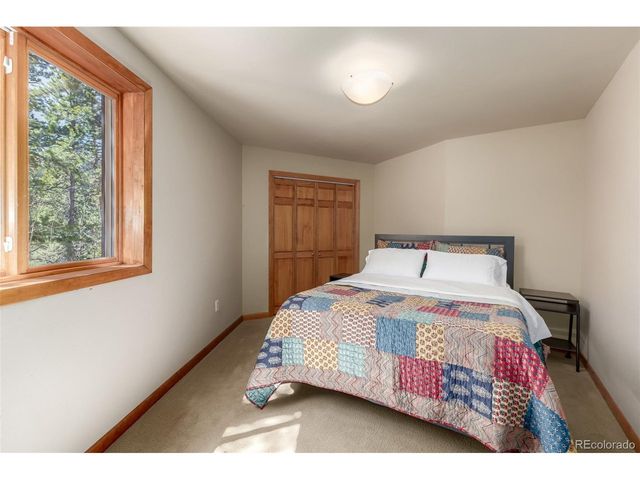 260 Pine Dr, Idaho Springs, CO 80452