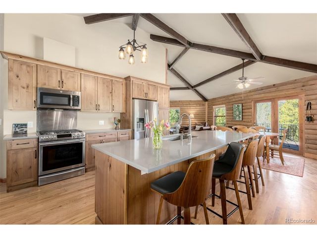 260 Pine Dr, Idaho Springs, CO 80452