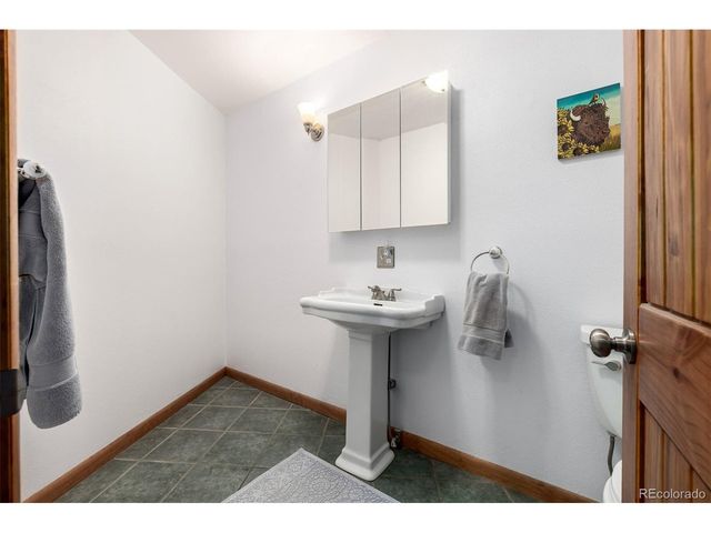 260 Pine Dr, Idaho Springs, CO 80452