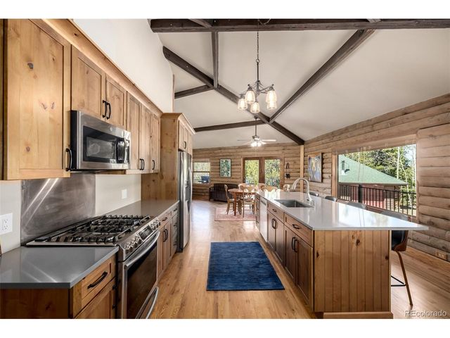 260 Pine Dr, Idaho Springs, CO 80452