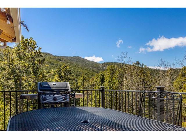 260 Pine Dr, Idaho Springs, CO 80452